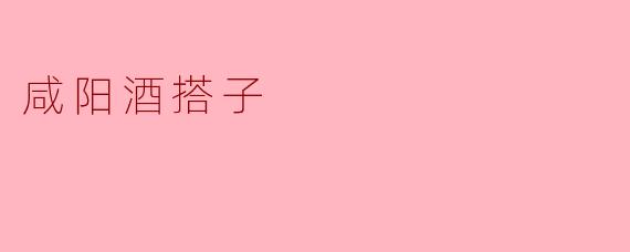 咸阳酒搭子