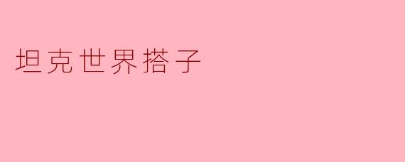 坦克世界搭子