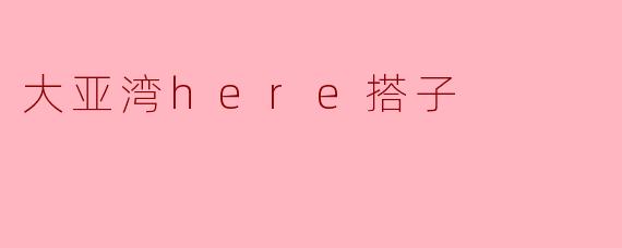 大亚湾here搭子
