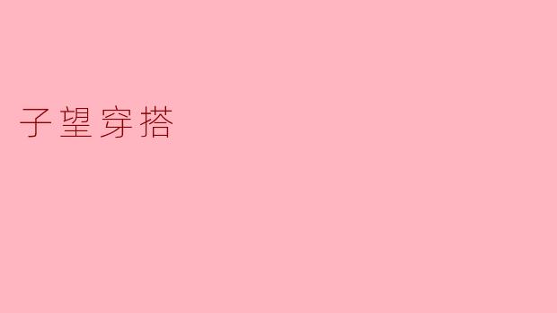 子望穿搭