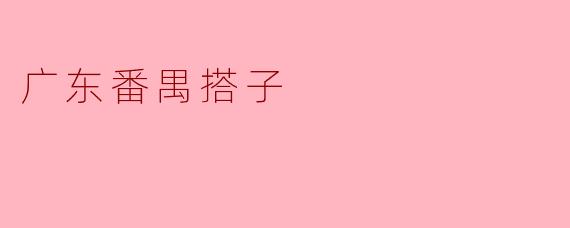 广东番禺搭子