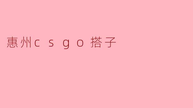 惠州csgo搭子