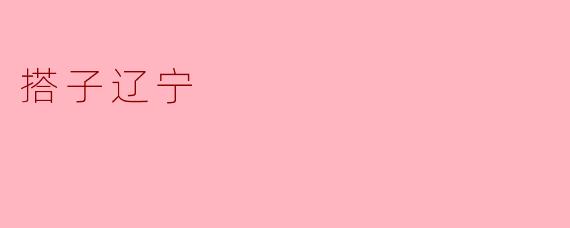 搭子辽宁