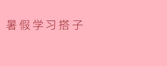 暑假学习搭子