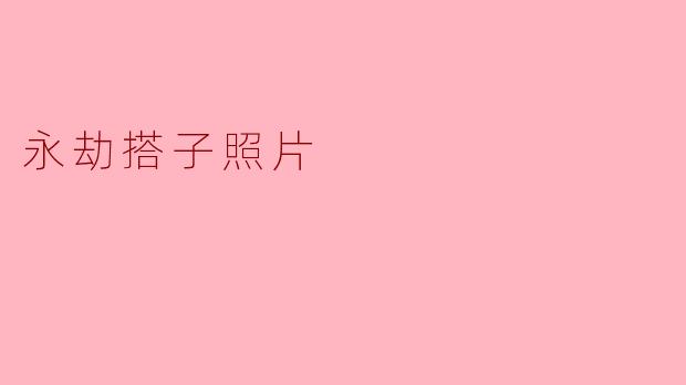 永劫搭子照片