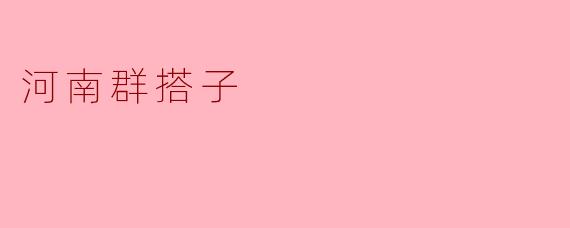 河南群搭子