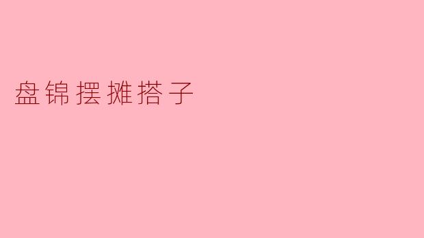 盘锦摆摊搭子