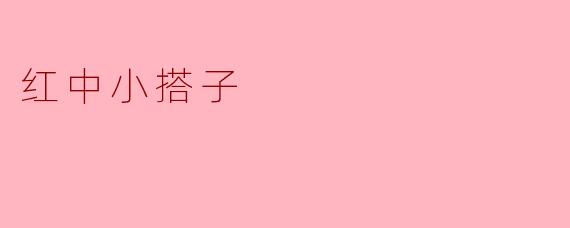 红中小搭子