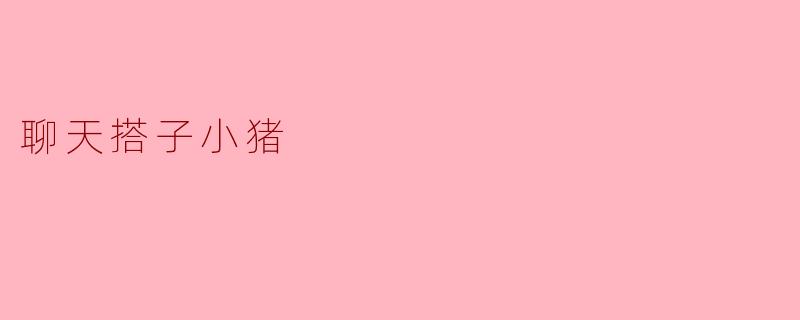 聊天搭子小猪