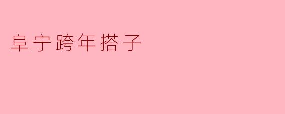 阜宁跨年搭子