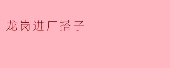 龙岗进厂搭子