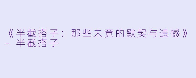 《半截搭子：那些未竟的默契与遗憾》-半截搭子