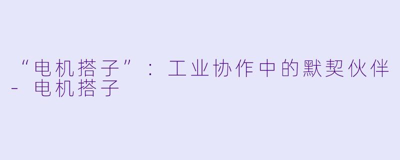 “电机搭子”：工业协作中的默契伙伴-电机搭子