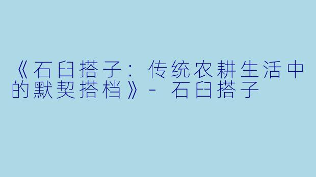 《石臼搭子：传统农耕生活中的默契搭档》-石臼搭子