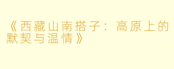 《西藏山南搭子：高原上的默契与温情》