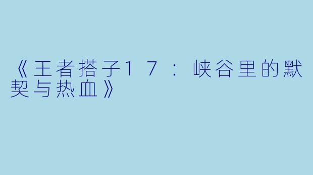 《王者搭子17：峡谷里的默契与热血》