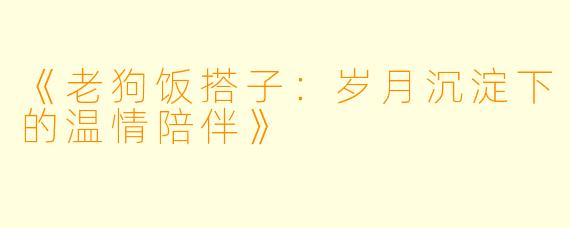 《老狗饭搭子：岁月沉淀下的温情陪伴》