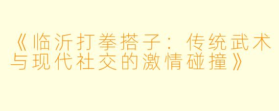 《临沂打拳搭子：传统武术与现代社交的激情碰撞》