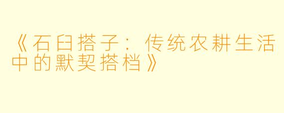 《石臼搭子：传统农耕生活中的默契搭档》