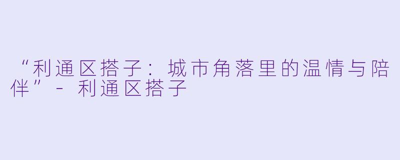 “利通区搭子：城市角落里的温情与陪伴”-利通区搭子