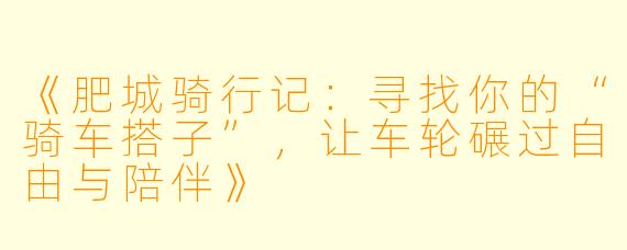 《肥城骑行记：寻找你的“骑车搭子”，让车轮碾过自由与陪伴》