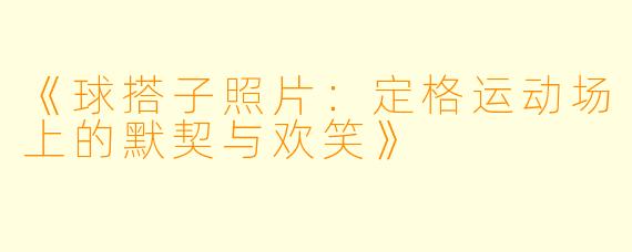 《球搭子照片：定格运动场上的默契与欢笑》