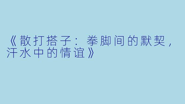 《散打搭子：拳脚间的默契，汗水中的情谊》