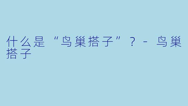什么是“鸟巢搭子”?