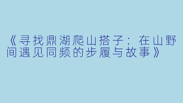 《寻找鼎湖爬山搭子：在山野间遇见同频的步履与故事》