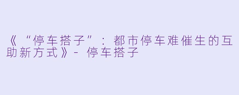《“停车搭子”：都市停车难催生的互助新方式》-停车搭子
