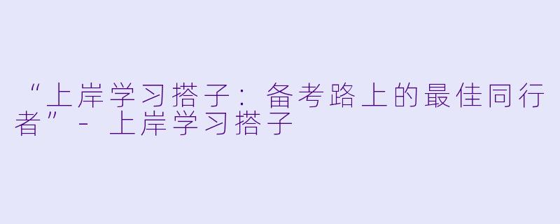 “上岸学习搭子：备考路上的最佳同行者”-上岸学习搭子