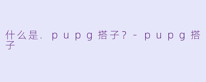 什么是.pupg搭子？-pupg搭子