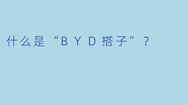 什么是“BYD搭子”？