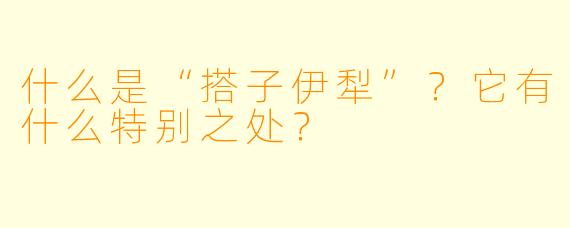 什么是“搭子伊犁”？它有什么特别之处？