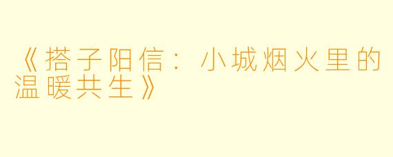 《搭子阳信：小城烟火里的温暖共生》