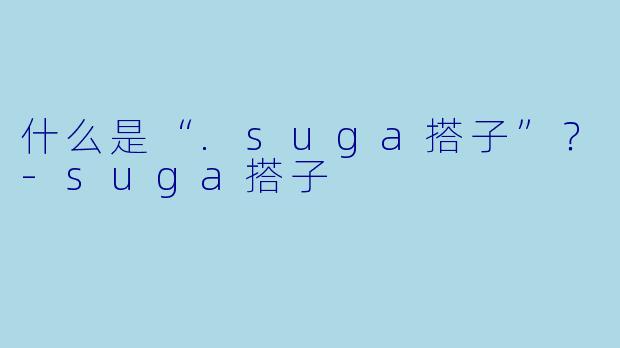 什么是“.suga搭子”？-suga搭子