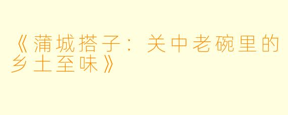 《蒲城搭子：关中老碗里的乡土至味》
