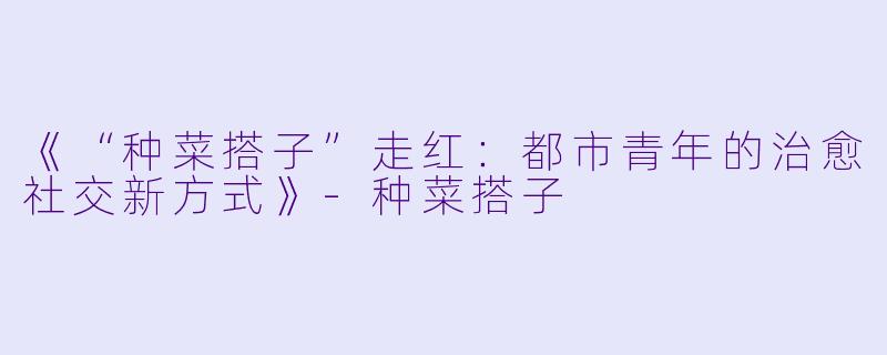 《“种菜搭子”走红：都市青年的治愈社交新方式》-种菜搭子