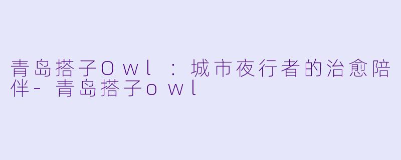 青岛搭子Owl：城市夜行者的治愈陪伴-青岛搭子owl
