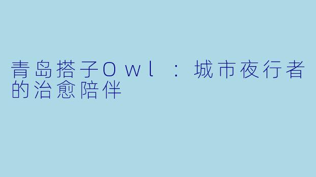青岛搭子Owl：城市夜行者的治愈陪伴