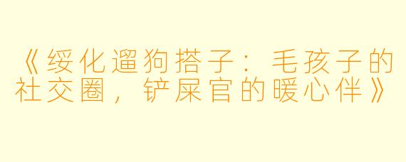 《绥化遛狗搭子：毛孩子的社交圈，铲屎官的暖心伴》