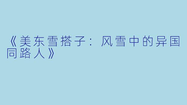 《美东雪搭子：风雪中的异国同路人》