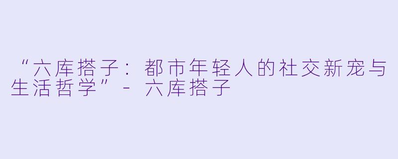 “六库搭子：都市年轻人的社交新宠与生活哲学”-六库搭子