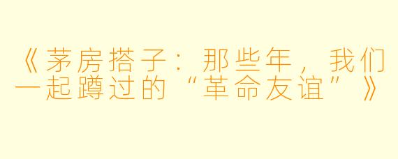 《茅房搭子：那些年，我们一起蹲过的“革命友谊”》