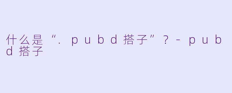 什么是“.pubd搭子”？