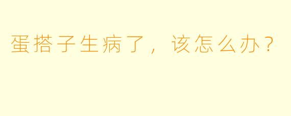蛋搭子生病了，该怎么办？