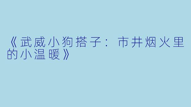《武威小狗搭子：市井烟火里的小温暖》