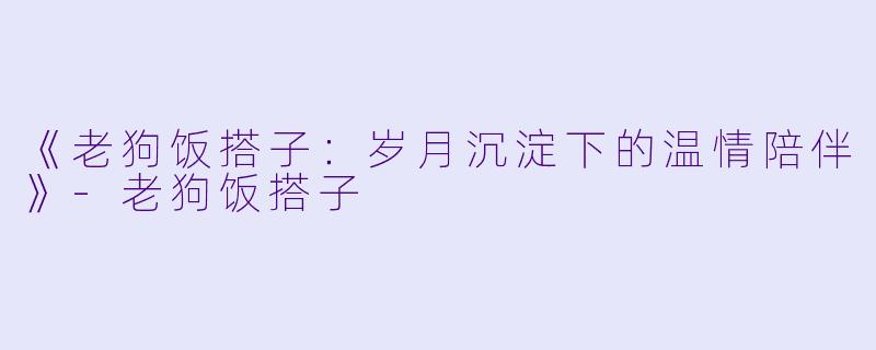 《老狗饭搭子：岁月沉淀下的温情陪伴》-老狗饭搭子