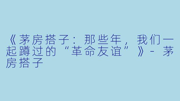《茅房搭子：那些年，我们一起蹲过的“革命友谊”》-茅房搭子