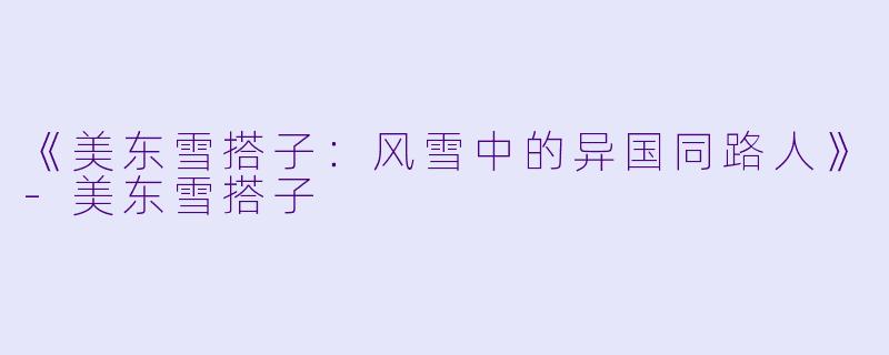 《美东雪搭子：风雪中的异国同路人》-美东雪搭子